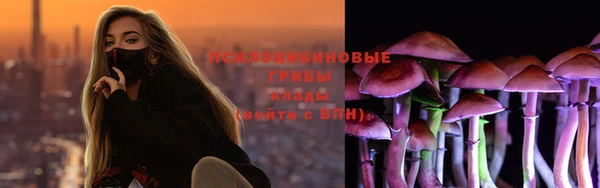 гидра Абаза