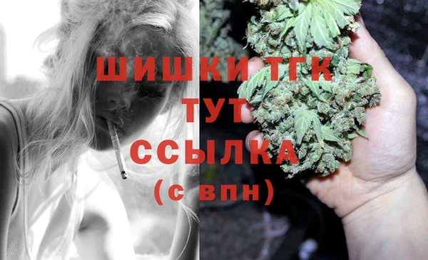 гидра Абаза