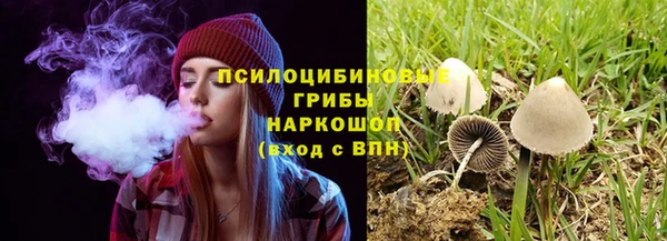 гидра Абаза