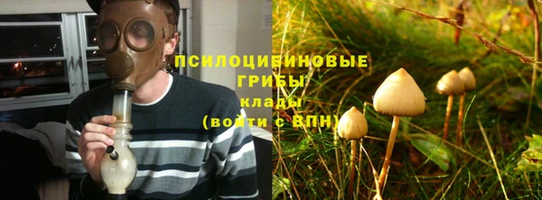 гидра Абаза