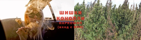 гидра Абаза