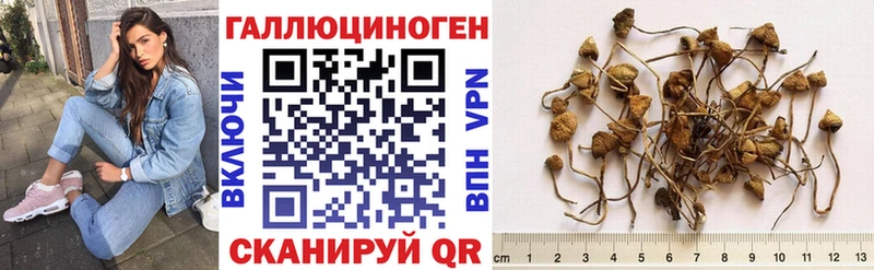 Псилоцибиновые грибы мухоморы Торжок